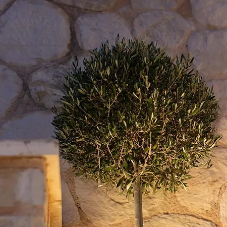 View - Heated Pool & Gym - Majestic Views - 5 Min Drive From Center Вилла Ханья